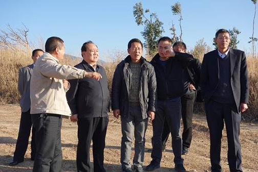 中国西部开发促进会领导到云南省大理州海东开发区调研9.jpg