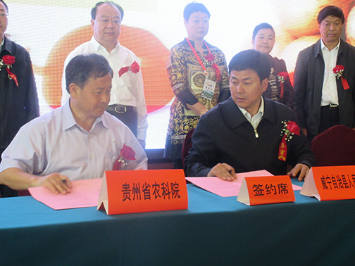 中国西部开发促进会前往贵州省威宁县调研13.jpg