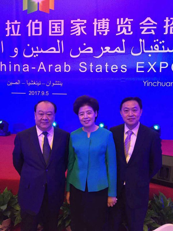 2017中国-阿拉伯国家博览会2.jpg