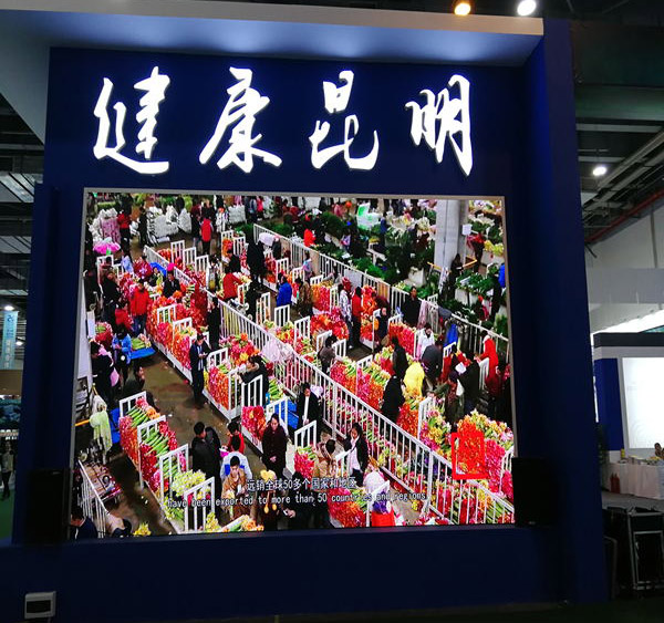 第五届中国—南亚博览会开幕4.jpg