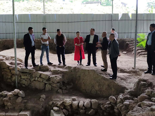 中国西部开发促进会领导赴重庆市调研7.jpg