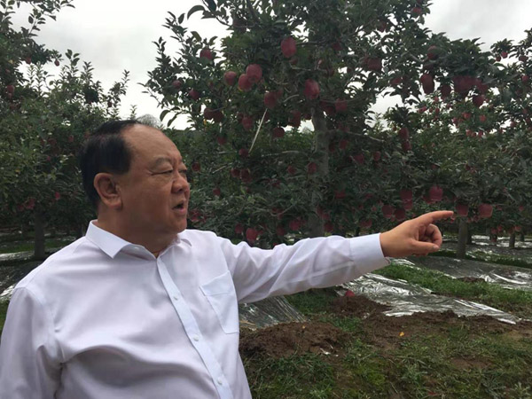 中国西部开发促进会领导前往甘肃省天水市调研5.jpg