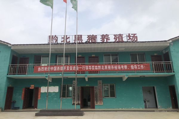 中国西部开发促进会前往贵州省仁怀市茅台镇考察调研2.jpg