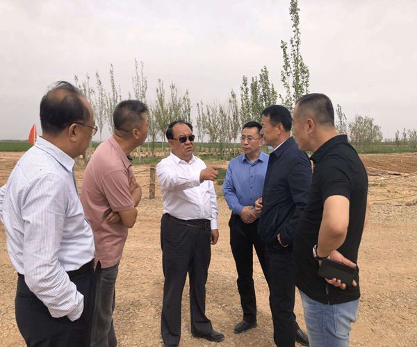 中国西部开发促进会前往内蒙古自治区磴口县考察调研2.jpg