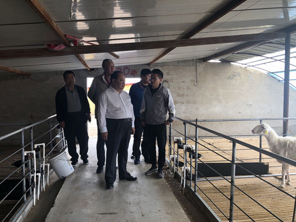 中国西部开发促进会前往亿利集团考察调研3.jpg