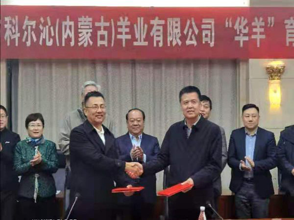 西部开发控股有限公司控股企业科尔沁（内蒙古）羊业有限公司与鄂托克前旗人民政府签订“华羊”育种项目合作协议3.jpg