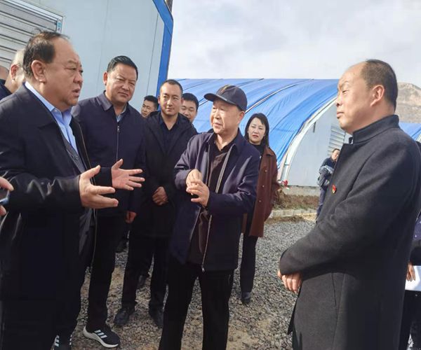 中国西部开发促进会前往东乡族自治县考察蛋白菊实验种植项目2.jpg